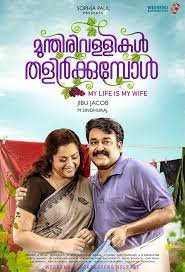 Munthirivallikal Thalirkkumbol